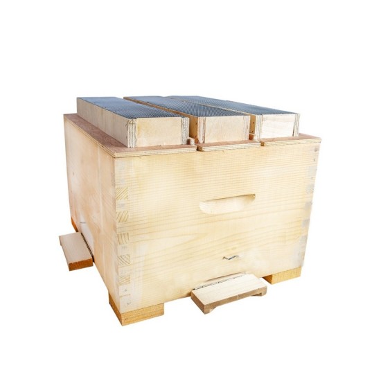 Τριπλοκυψελίδιο