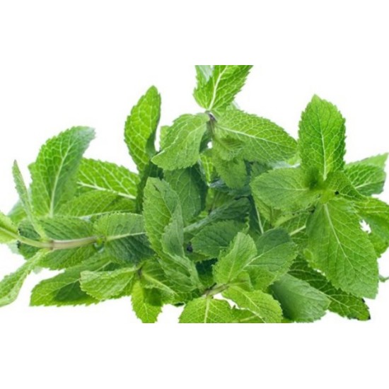 Αιθέριο έλαιο μελισσόχορτου 20ml Αιθέριο έλαιο μελισσόχορτου 20ml