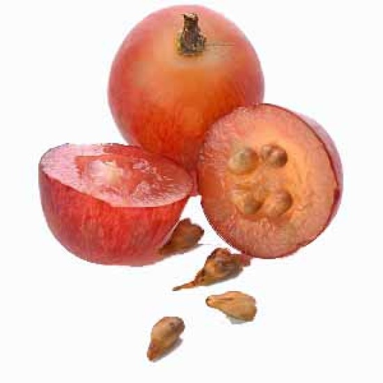 ΣΤΑΦΥΛΟΣΠΟΡΕΛΑΙΟ (50 ml) ΣΤΑΦΥΛΟΣΠΟΡΕΛΑΙΟ (50 ml)