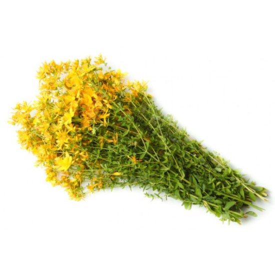 Αιθέριο έλαιο Βαλσαμόχορτο 50ml Αιθέριο έλαιο Βαλσαμόχορτο 50ml