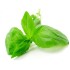 Αιθέριο έλαιο βασιλικού 20ml