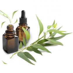 Eucalyptus essential oil 20 ML