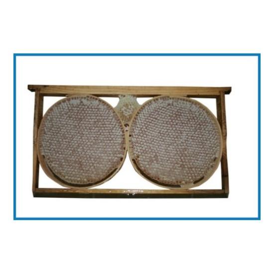 Κορνίζα για οικολογική κηρήθρα σετ 10 τεμ